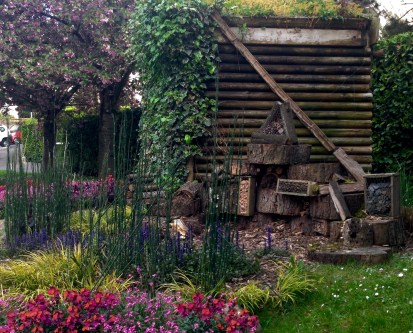 ДомНасекомых