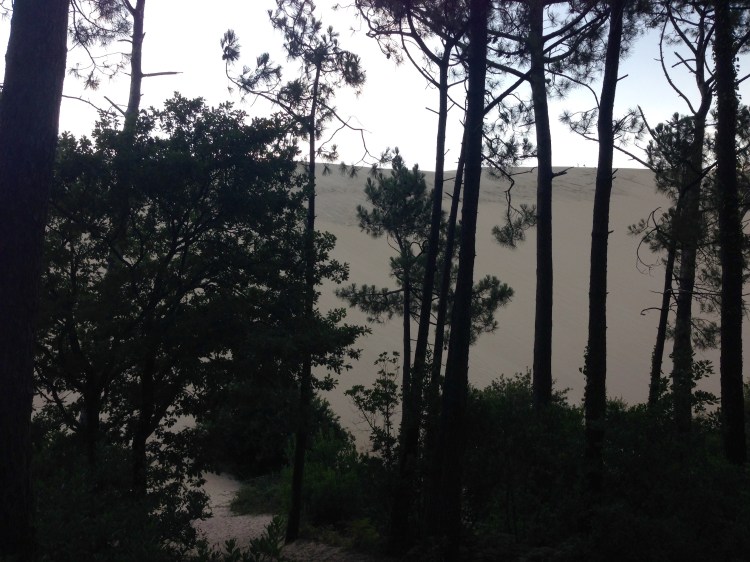 Дюна Вертикаль